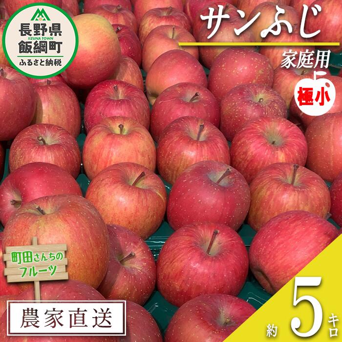 りんご サンふじ （ 極小 ） 家庭用 5kg 町田さんちのりんご 長野県 飯綱町 〔 リンゴ 林檎 果物 フルーツ 信州 長野 12000円 予約 農家直送 〕発送期間：2027年1月上旬〜2027年2月上旬