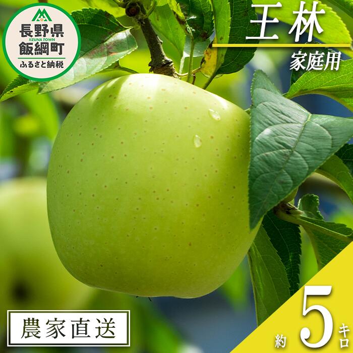 りんご 王林 家庭用 5kg 松澤農園 沖縄県への配送不可 令和7年度収穫分 長野県 飯綱町 〔 信州 果物 フルーツ リンゴ 林檎 長野 12000円 予約 農家直送 〕発送時期：2025年11月中旬〜2025年12月上旬 {**}