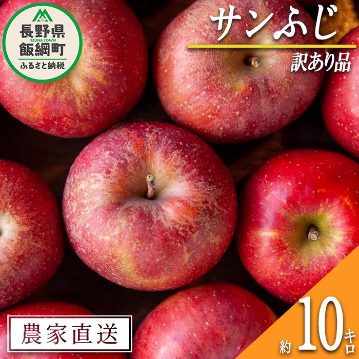 りんご サンふじ 訳あり 10kg 松澤農園 沖縄県への配送不可 令和8年度収穫分 長野県 飯綱町 〔 傷 不揃い わけあり リンゴ 林檎 果物 フルーツ 信州 長野 19000円 予約 農家直送 〕発送時期：2026年11月下旬〜2027年3月上旬 {*}