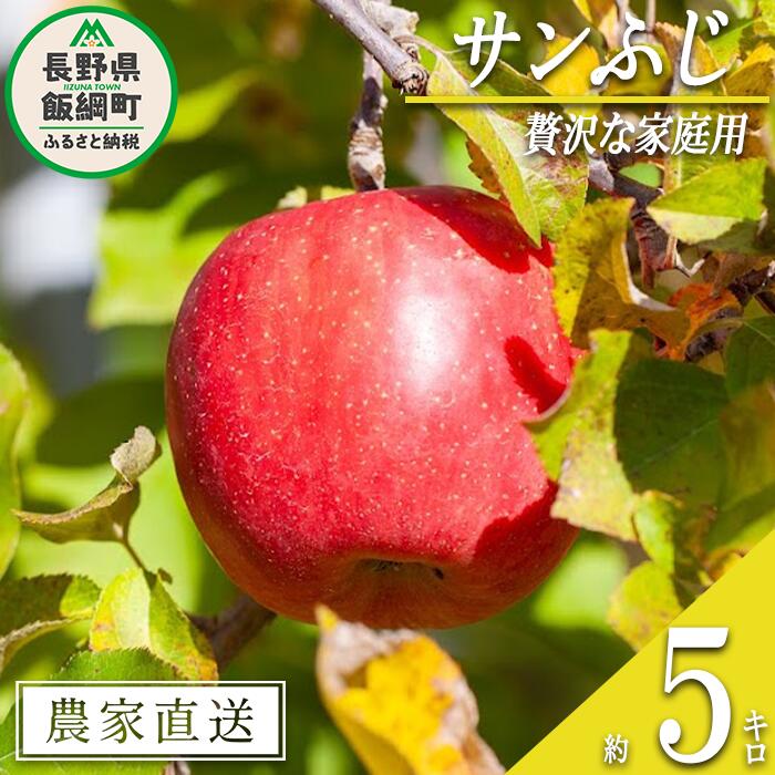 りんご サンふじ ちょっぴり贅沢な家庭用 5kg 松澤農園 沖縄県への配送不可 令和8年度収穫分 長野県 飯綱町 〔 信州 果物 フルーツ リンゴ 林檎 長野 15000円 予約 農家直送 〕発送時期：2026年11月下旬〜2027年3月上旬 {**}
