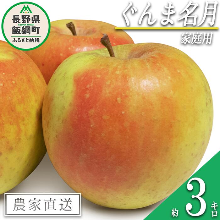 りんご ぐんま名月 家庭用 3kg 中村ファーム 沖縄県への配送不可 令和7年度収穫分 長野県 飯綱町 〔 信州 果物 フルーツ リンゴ 林檎 長野 11000円 予約 農家直送 〕発送時期：2025年11月中旬〜2025年12月上旬