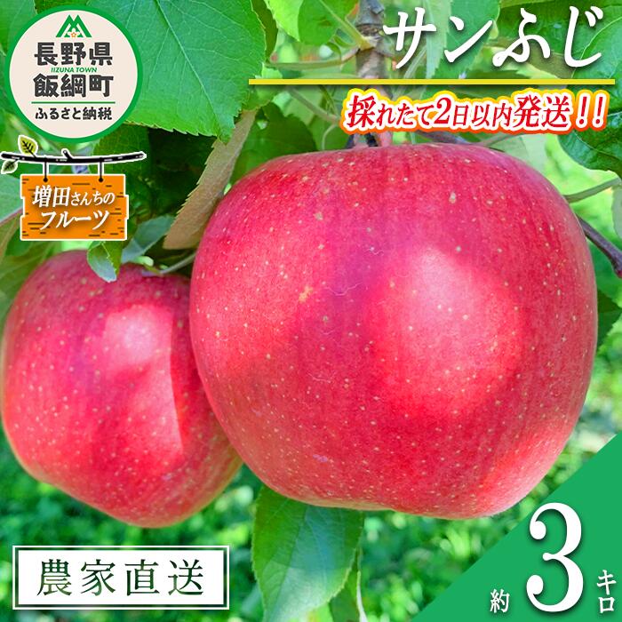 りんご サンふじ 家庭用 3kg 採れたてを発送 増田さんちのりんご 沖縄県への配送不可 令和7年度収穫分 長野県 飯綱町 〔 信州 果物 フルーツ リンゴ 林檎 長野 予約 農家直送 13000円 〕発送時期：2025年11月下旬〜2025年12月上旬