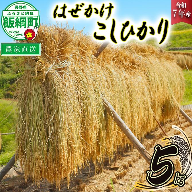 米 はぜかけ こしひかり 5kg ( 令和7年産 ) 増田さんちのお米 沖縄県への配送不可 長野県 飯綱町 〔 コシヒカリ 白米 精米 お米 信州 予約 農家直送 〕発送時期：2025年11月上旬〜 [お届け1回 (**)]