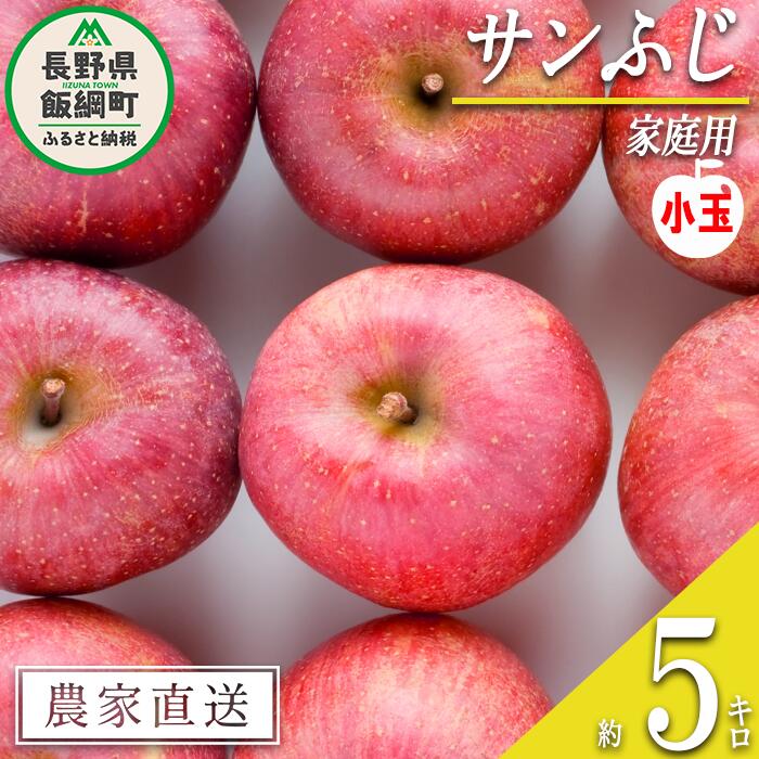 りんご サンふじ 家庭用 ( 小玉 ) 5kg 山岸ファーム 沖縄県への配送不可 令和7年度収穫分 長野県 飯綱町 〔 信州 果物 フルーツ リンゴ 林檎 長野 11000円 予約 農家直送 〕発送時期：2025年12月上旬〜2025年12月下旬 {**}