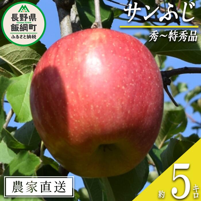 りんご サンふじ 秀 〜 特秀 5kg 大垣農園 沖縄県への配送不可 令和7年度収穫分 長野県 飯綱町 〔 信州 果物 フルーツ リンゴ 林檎 長野 16000円 予約 農家直送 〕発送時期：2025年11月下旬〜2025年12月下旬 {***}