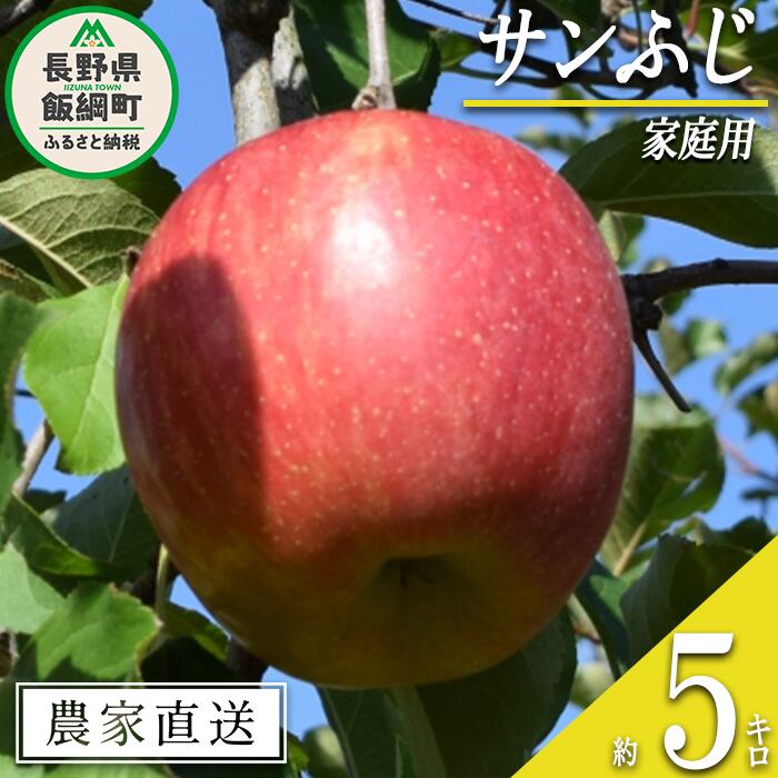 りんご サンふじ 家庭用 5kg 大垣農園 沖縄県への配送不可 令和7年度収穫分 長野県 飯綱町 〔 信州 果物 フルーツ リンゴ 林檎 長野 12000円 予約 農家直送 〕発送時期：2025年11月下旬〜2025年12月下旬 {**}