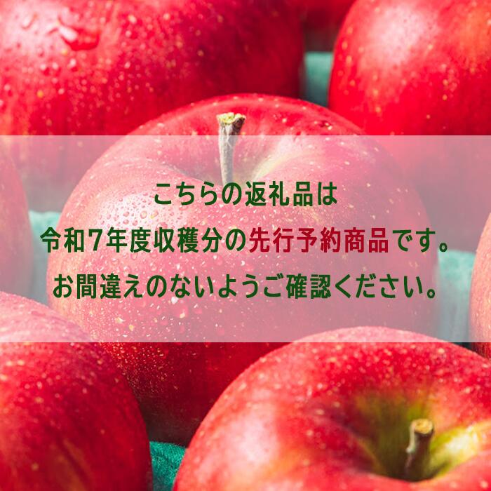 【ふるさと納税】＜令和7年度収穫分先行予約＞りんご 訳あり 果物 2kg 5kg 10kg サンふじ 長野 わけあり くだもの フルーツ 交換保証 不揃い 規格外 傷 光センサー 信州 林檎 感謝りんご 2キロ 5キロ 10キロ 12000円 長野県 飯綱 R7年12月 から R8年1月発送 サムネイル2