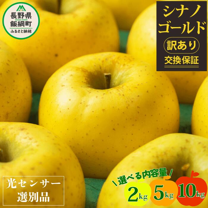 りんご 信州 訳あり 10kg 5kg 2kg 果物 長野 シナノゴールド 交換保証 感謝りんご 光センサー 不揃い 規格外 傷あり 家庭用 フルーツ 林檎 人気 黄色 11月 11月発送 R7年11月上旬頃～11月下旬頃発送予定 長野県 飯綱町