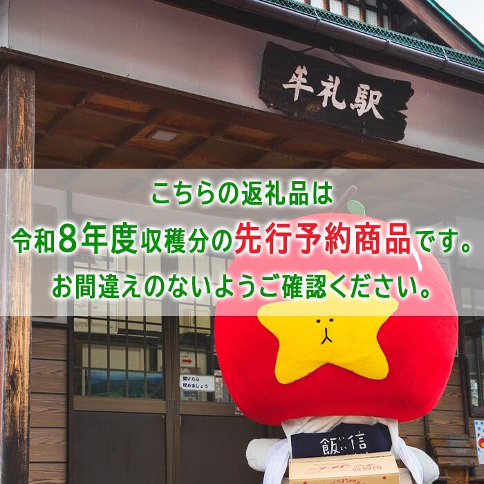 【ふるさと納税】＜令和8年収穫分順次発送中！＞ りんご 訳あり 果物 5kg 10kg サンふじ 長野 わけあり くだもの フルーツ 交換保証 不揃い 規格外 傷 光センサー 信州 林檎 感謝りんご 5キロ 10キロ 12000円 R8年12月末～R9年1月末順次発送 長野県 飯綱 - 画像2