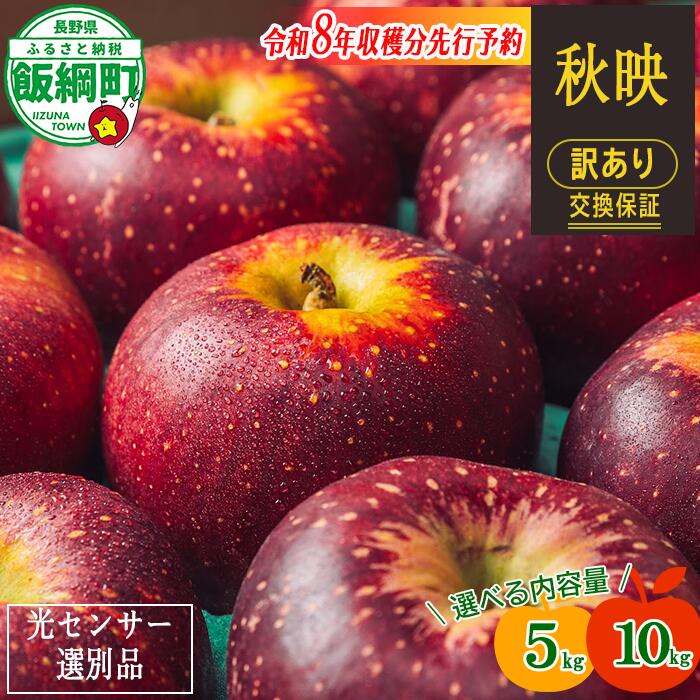 〈令和8年収穫分先行予約〉 りんご 信州 訳あり 果物 10kg 5kg 秋映 長野 交換保証 感謝りんご 光センサー くだもの 不揃い 規格外 傷あり 家庭用 フルーツ 12000円 20000円 あきばえ 10月発送 2026年10月上旬頃~2026年10月下旬頃発送予定 長野県 飯綱町
