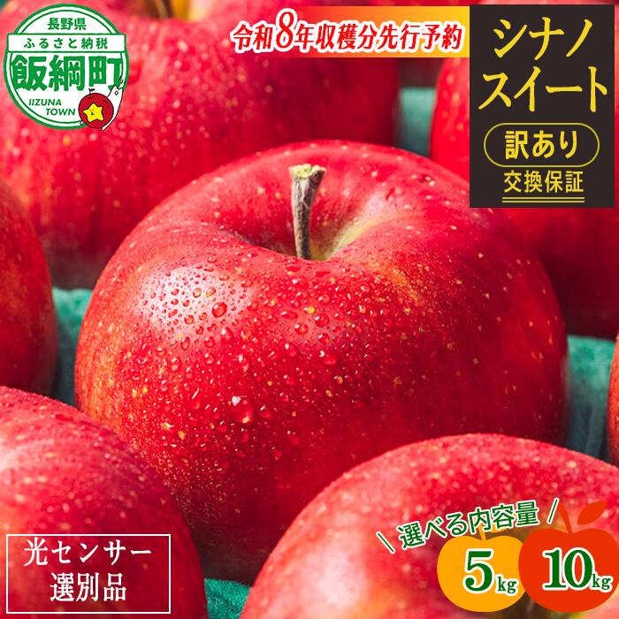 りんご 信州 【令和8年度先行予約】 果物 訳あり 10kg 5kg 長野 交換保証 シナノスイート 感謝りんご 光センサー くだもの 不揃い 規格外 傷 傷あり 家庭用 フルーツ 12000円 20000円 R8年10月〜11月 発送 長野県 飯綱町