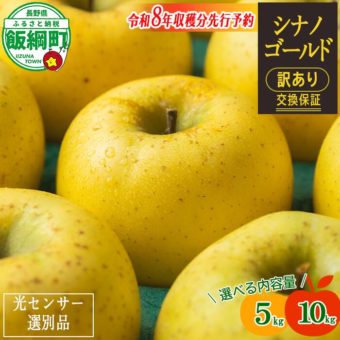 りんご 信州 訳あり 10kg 5kg 果物 長野 シナノゴールド 交換保証 感謝りんご 光センサー 不揃い 規格外 傷あり 家庭用 フルーツ 林檎 人気 黄色 11月 11月発送 R8年11月上旬頃～11月下旬頃発送予定 長野県 飯綱町