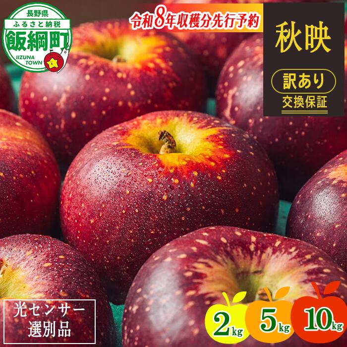 りんご 訳あり 果物 2kg 5kg 10kg 秋映 長野 わけあり くだもの フルーツ 交換保証 不揃い 規格外 傷 光センサー 林檎 感謝りんご 2キロ 5キロ 10キロ 産地直送 2026年10月上旬頃～2026年10月下旬頃発送予定 送料無料 令和8年収穫分先行予約 長野県 飯綱町