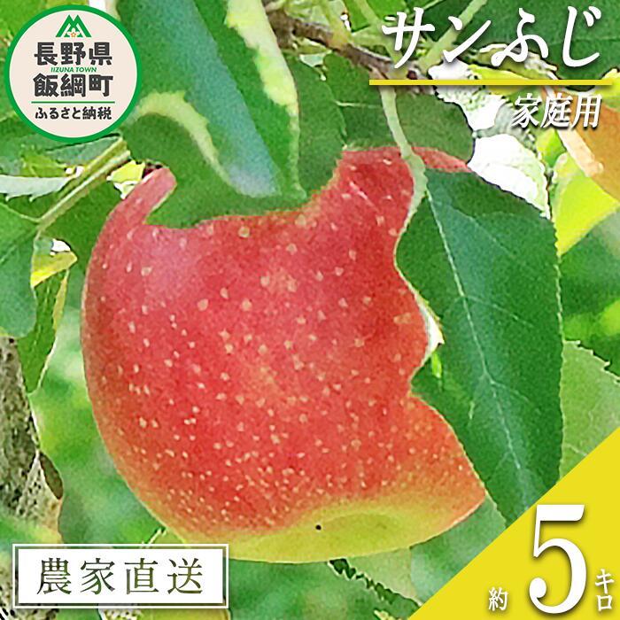 りんご サンふじ 家庭用 5kg 永正の地蔵尊神谷農園 沖縄県への配送不可 令和7年度収穫分 長野県 飯綱町 〔 信州 果物 フルーツ リンゴ 林檎 長野 12500円 予約 農家直送 〕発送時期：2025年12月中旬〜2026年3月上旬 {**}