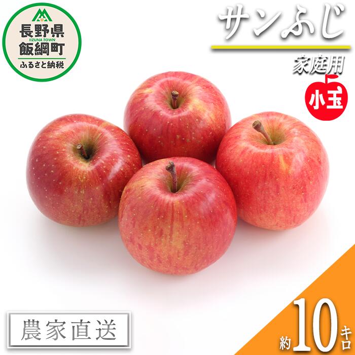 りんご サンふじ 家庭用 ( 小玉 ) 10kg 永正の地蔵尊神谷農園 沖縄県への配送不可 令和7年度収穫分 長野県 飯綱町 〔 信州 果物 フルーツ リンゴ 林檎 長野 17500円 予約 農家直送 〕発送時期：2026年1月上旬〜2026年3月上旬 {**}
