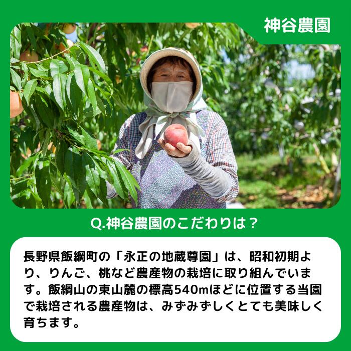 【ふるさと納税】 りんご サンふじ 家庭用 ( 小玉 ) 10kg 永正の地蔵尊神谷農園 沖縄県への配送不可 令和7年度収穫分 長野県 飯綱町 〔 信州 果物 フルーツ リンゴ 林檎 長野 17500円 予約 農家直送 〕発送時期：2026年1月上旬〜2026年3月上旬 {**} サムネイル2