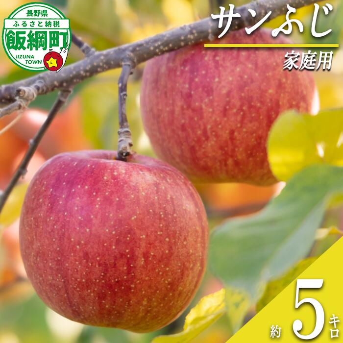 りんご サンふじ 家庭用 5kg ふるさと振興公社 長野県 飯綱町 〔 林檎 リンゴ 果物 くだもの フルーツ 長野 22000円 〕 発送期間：2025年12月上旬〜2026年2月下旬 {**}