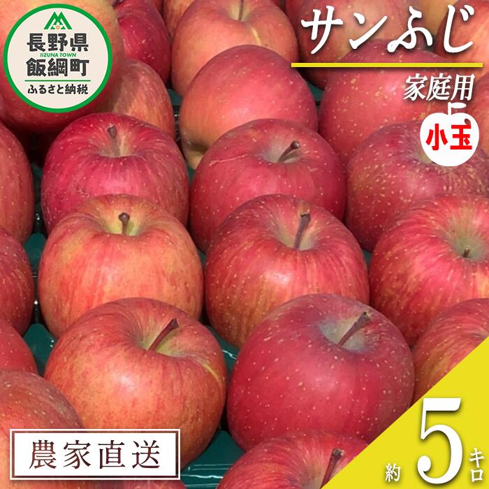 りんご サンふじ 家庭用 ( 小玉 ) 5kg 原山農園 沖縄県への配送不可 令和7年度収穫分 長野県 飯綱町 〔 信州 果物 フルーツ リンゴ 林檎 長野 11000円 予約 農家直送 〕発送時期：2026年1月上旬〜2026年3月上旬{**}