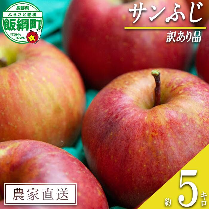 りんご サンふじ 5kg 訳あり 原山農園 沖縄県への配送不可 〔 果物 フルーツ 林檎 長野 予約 農家直送 不揃い 規格外 5キロ 12000円 〕【令和7年度収穫分】 発送：2025年12月中旬〜
