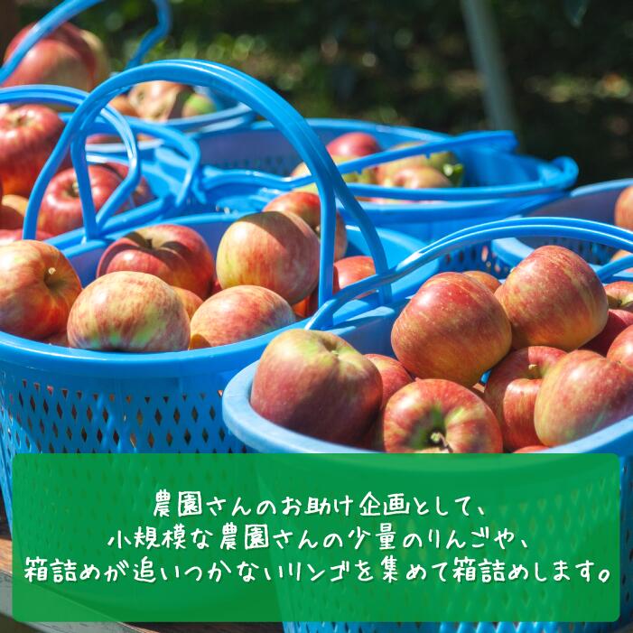 【ふるさと納税】りんご 訳あり サンふじ 0.8～1kg 2kg 3kg 5kg 沖縄県への配送不可 長野 果物 わけあり 家庭用 さんふじ リンゴ 林檎 不揃い 傷あり くだもの フルーツ 農家直送 長野県 飯綱町 2025年11月下旬～2026年2月上旬発送予定 【農家応援企画】 サムネイル2