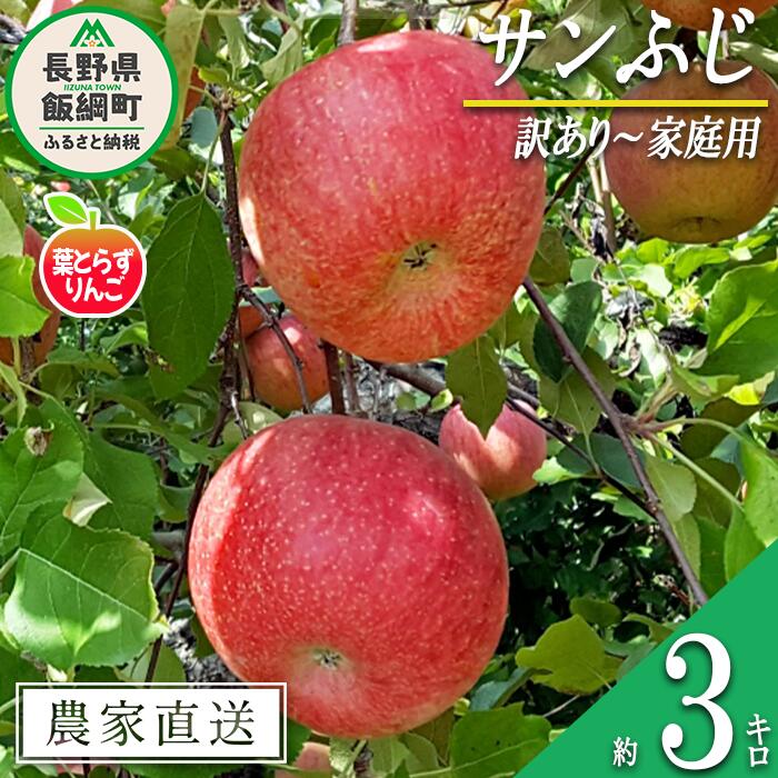 りんご 葉とらず サンふじ 訳あり 3kg 米澤農園 沖縄県への配送不可 令和7年度収穫分 長野県 飯綱町 〔 傷 不揃い リンゴ 林檎 果物 フルーツ ふじ 信州 長野 11000円 予約 農家直送 〕発送時期：2025年11月下旬〜2025年12月下旬 {*}
