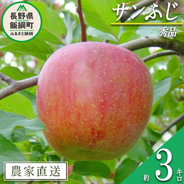 りんご サンふじ 秀 3kg 宮本ファーム 令和7年度収穫分 長野県 飯綱町 〔 リンゴ 林檎 果物 フルーツ 信州 長野 14000円 予約 農家直送 〕 発送時期：2025年12月上旬〜2025年12月下旬