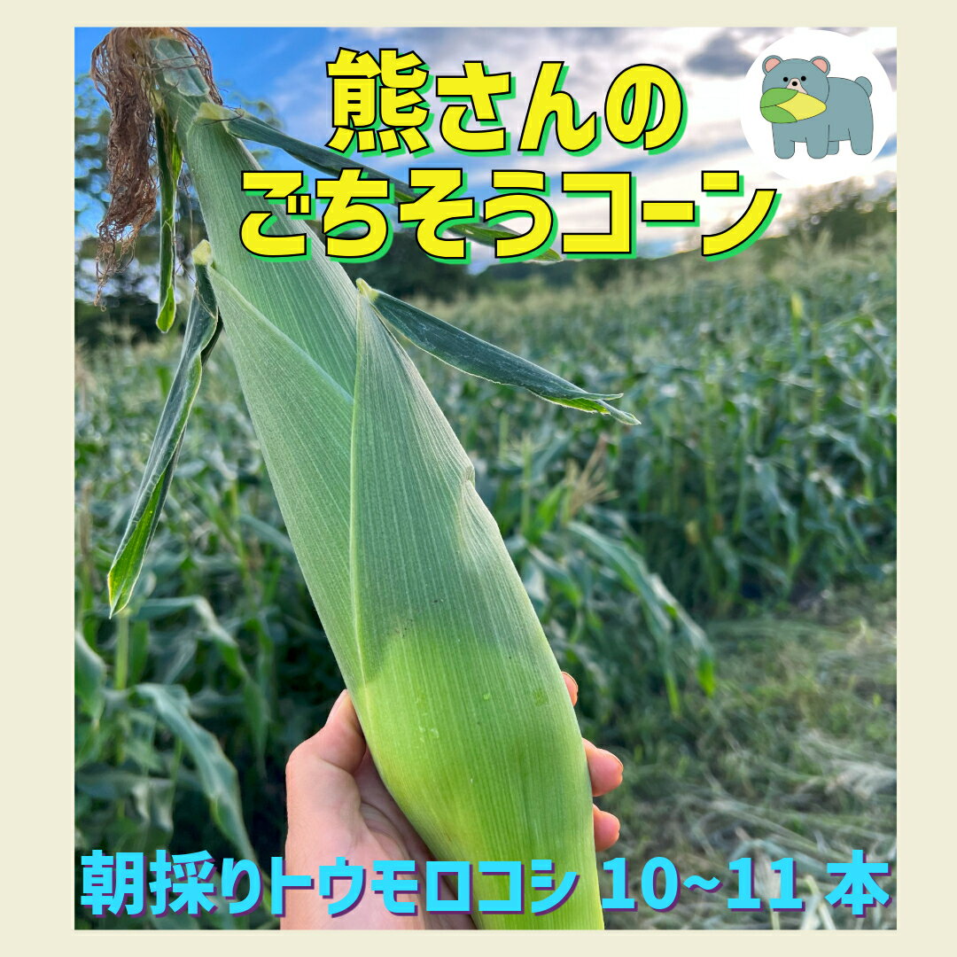 【ふるさと納税】 朝採り トウモロコシ 熊さんのごちそうコーン 10本 ～ 11本 TAMAI WINE 配送は本州限定 令和8年度収穫分 長野県 飯綱町 〔 信州 野菜 とうもろこし コーン 長野 13000円 予約 農家直送 〕発送時期：2026年7月下旬～2026年8月下旬 - 画像2