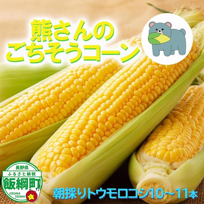 朝採り トウモロコシ 熊さんのごちそうコーン 10本 ～ 11本 TAMAI WINE 配送は本州限定 令和8年度収穫分 長野県 飯綱町 〔 信州 野菜 とうもろこし コーン 長野 13000円 予約 農家直送 〕発送時期：2026年7月下旬～2026年8月下旬