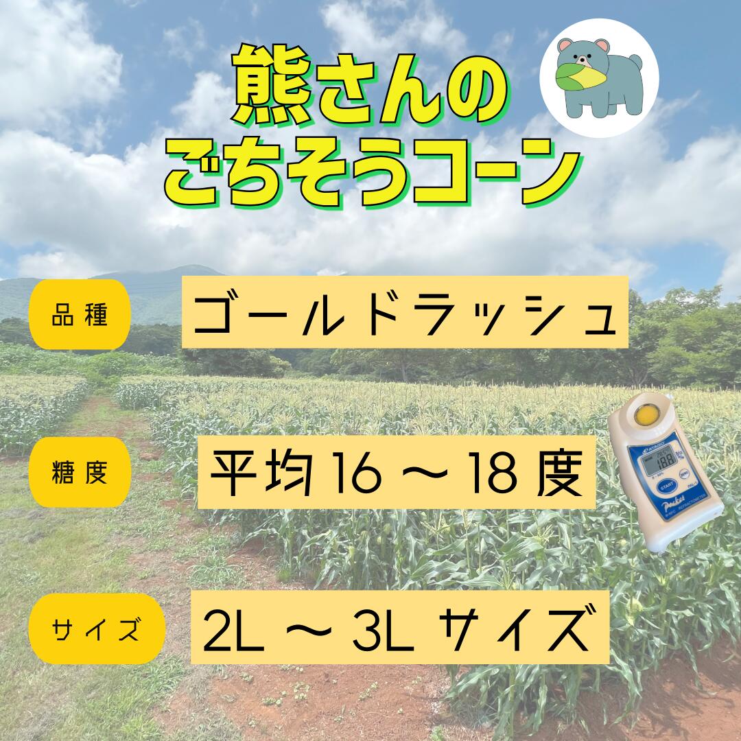 【ふるさと納税】 朝採り トウモロコシ 熊さんのごちそうコーン 10本 ～ 11本 TAMAI WINE 配送は本州限定 令和8年度収穫分 長野県 飯綱町 〔 信州 野菜 とうもろこし コーン 長野 13000円 予約 農家直送 〕発送時期：2026年7月下旬～2026年8月下旬 - 画像3