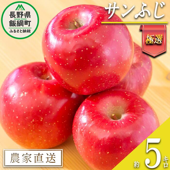 りんご サンふじ 極選 5kg マルハ農園 令和7年度収穫分 エコファーマー認定 長野県 飯綱町 〔 信州 果物 フルーツ リンゴ 林檎 長野 22000円 予約 農家直送 〕発送時期：2025年12月上旬〜2025年12月下旬