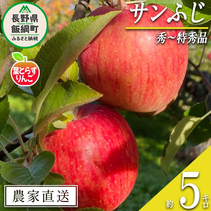 りんご 葉とらず サンふじ 秀 〜 特秀 5kg フレッシュフルーツミカズキ 令和7年度収穫分 長野県 飯綱町 〔 信州 果物 フルーツ リンゴ 林檎 長野 予約 農家直送 〕発送時期：2025年11月下旬〜2026年1月下旬 {***}