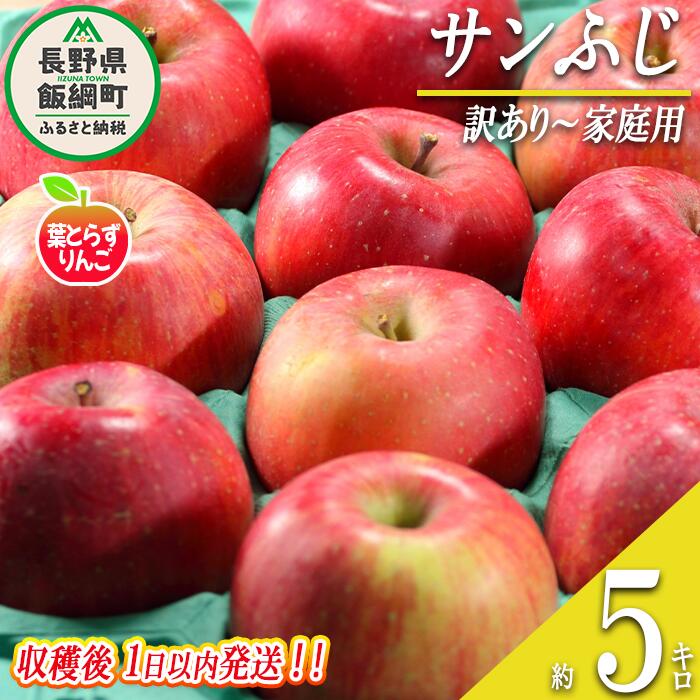 りんご 葉とらず サンふじ 訳あり 〜 家庭用 5kg 採れたてを発送 フレッシュフルーツミカズキ 沖縄県への配送不可 令和7年収穫 長野県 飯綱町 〔 傷 不揃い リンゴ 果物 フルーツ 信州 長野 19000円 予約 農家直送 〕発送時期：2025年11月中旬頃〜{*}