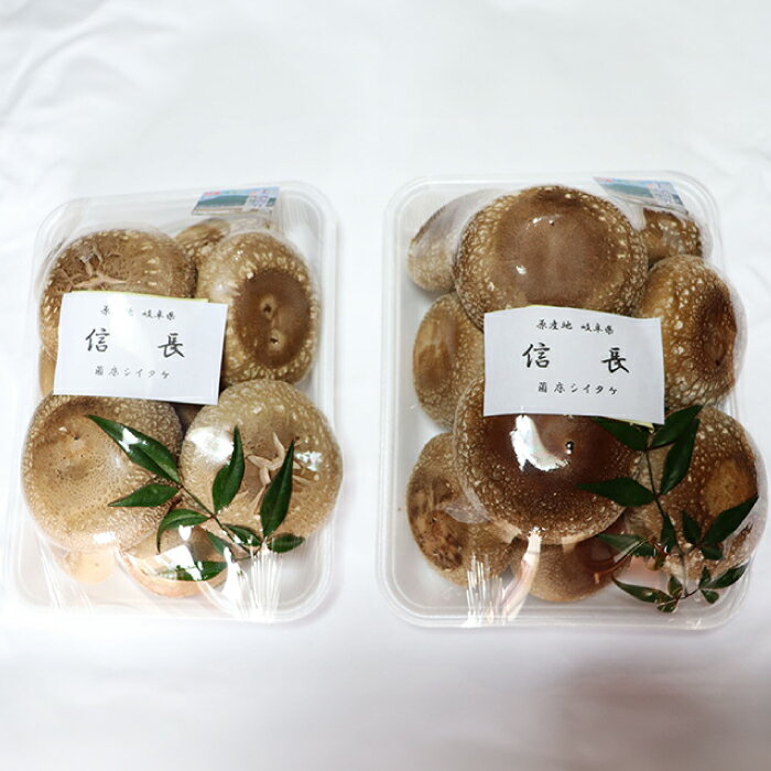 【ふるさと納税】シイタケ1kg 肉厚 ジューシー 椎茸 しいたけ 料理 健康 岐阜県 国産 焼き 乾燥 人気 野菜 きのこ キノコ 食材 具材グルメ たっぷり 鍋 炒め物 煮物 天ぷら バーベキュー BBQ 旨味 うまみ 食物繊維 おかず 菌活 和食 贈答 贈り物 岐阜市/JAぎふ[ANAS006] - 画像2