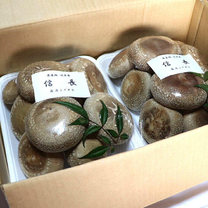 【ふるさと納税】シイタケ1kg 肉厚 ジューシー 椎茸 しいたけ 料理 健康 岐阜県 国産 焼き 乾燥 人気 野菜 きのこ キノコ 食材 具材グルメ たっぷり 鍋 炒め物 煮物 天ぷら バーベキュー BBQ 旨味 うまみ 食物繊維 おかず 菌活 和食 贈答 贈り物 岐阜市/JAぎふ[ANAS006] - 画像3