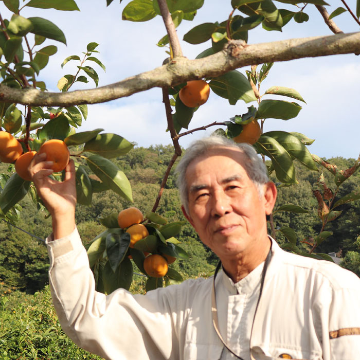 【ふるさと納税】【12月より順次発送】岐阜市産 富有柿 2L【24個入り】 産地直送 フルーツ 柿 岐阜市/羽賀政夫[ANDZ002] サムネイル3