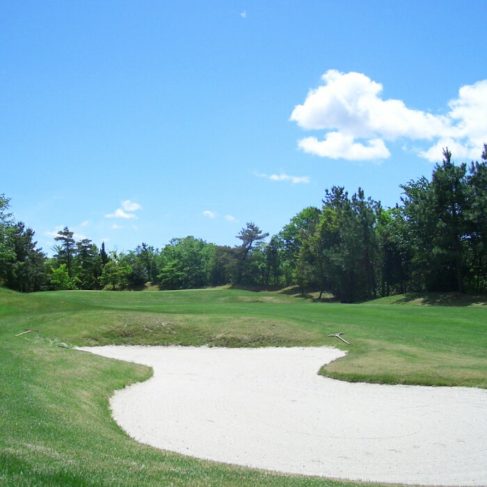 【ふるさと納税】利用券 長良川カントリー倶楽部 利用券【10000円分】 ゴルフ チケット 岐阜 ゴルフ場 プレー券 10000円分 金華山 清流 自然 丘陵コース 18ホール スポーツ レジャー 趣味 休日 アクティビティ 人気 おすすめ 岐阜市/長良川カントリー倶楽部[ANEL003] - 画像3