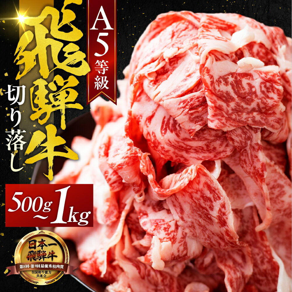 ＼高評価★4.83／最高級 A5 飛騨牛 切り落とし 500g すき焼き にも 定期便 選べる 3回 /6回 /12回 訳あり 不揃い 小分け すき焼き 牛丼 便利 おすすめ 人気 岐阜県 大垣市 岐阜県 牛肉 肉 高級 ランキング