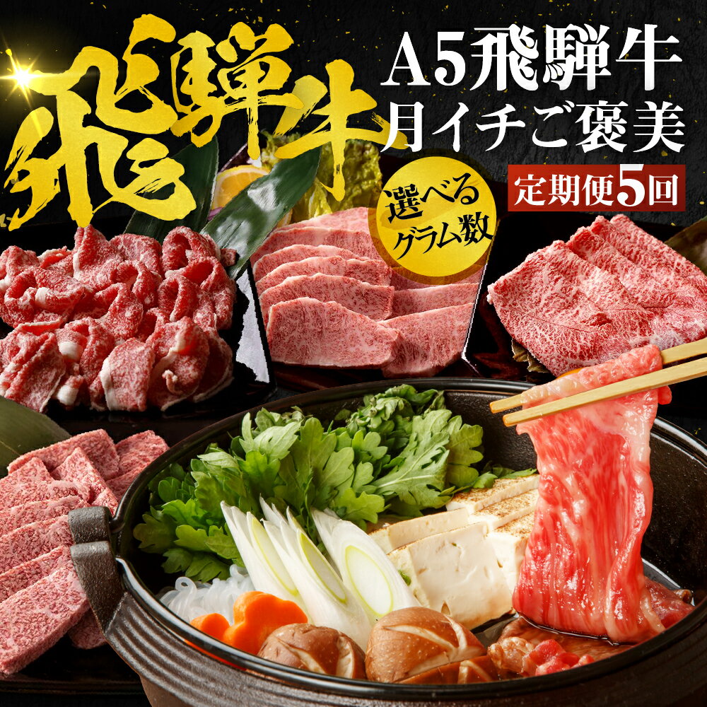 ＼高評価★4.88／A5飛騨牛 定期便 5回 ちょこちょこお届け（焼肉・すき焼き など）5カ月☆ 飛騨牛 牛肉 肉 お肉 ランキング 黒毛和牛 希少部位 国産 厳選 ブランド牛 人気 60000円 高級 岐阜県 大垣市