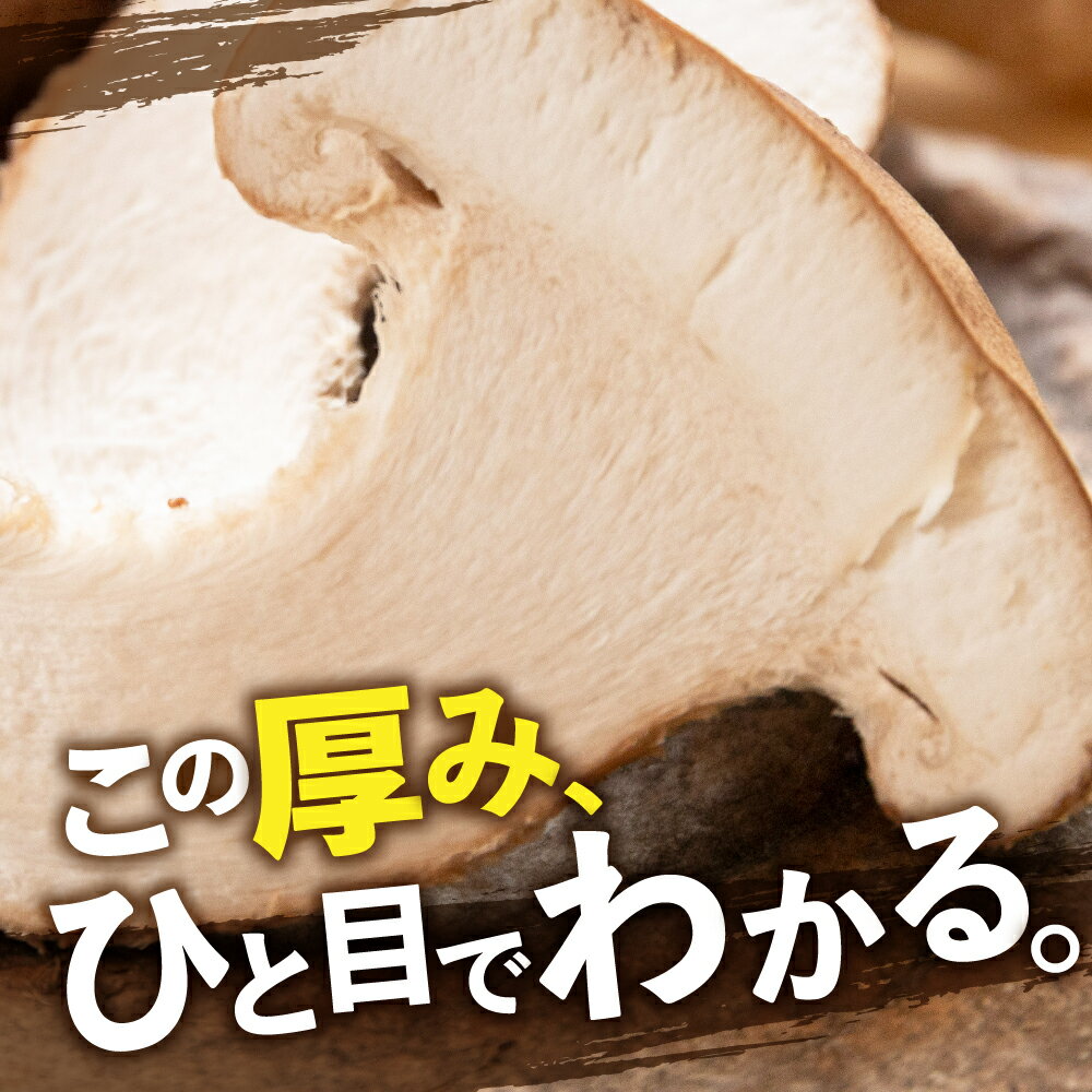 【ふるさと納税】＼分厚い どでかい。／肉厚生しいたけ 1kg 大垣椎茸 肉厚 ジューシー 1000g 生しいたけ 栽培期間中 農薬不使用 新鮮 産地直送 産直 国産 野菜 きのこ 茸 キノコ しいたけ 野菜 どんこ 鍋 焼き椎茸 煮物 10000円 1万円 ベジファーム ゼロックス 岐阜県 大垣市 - 画像2
