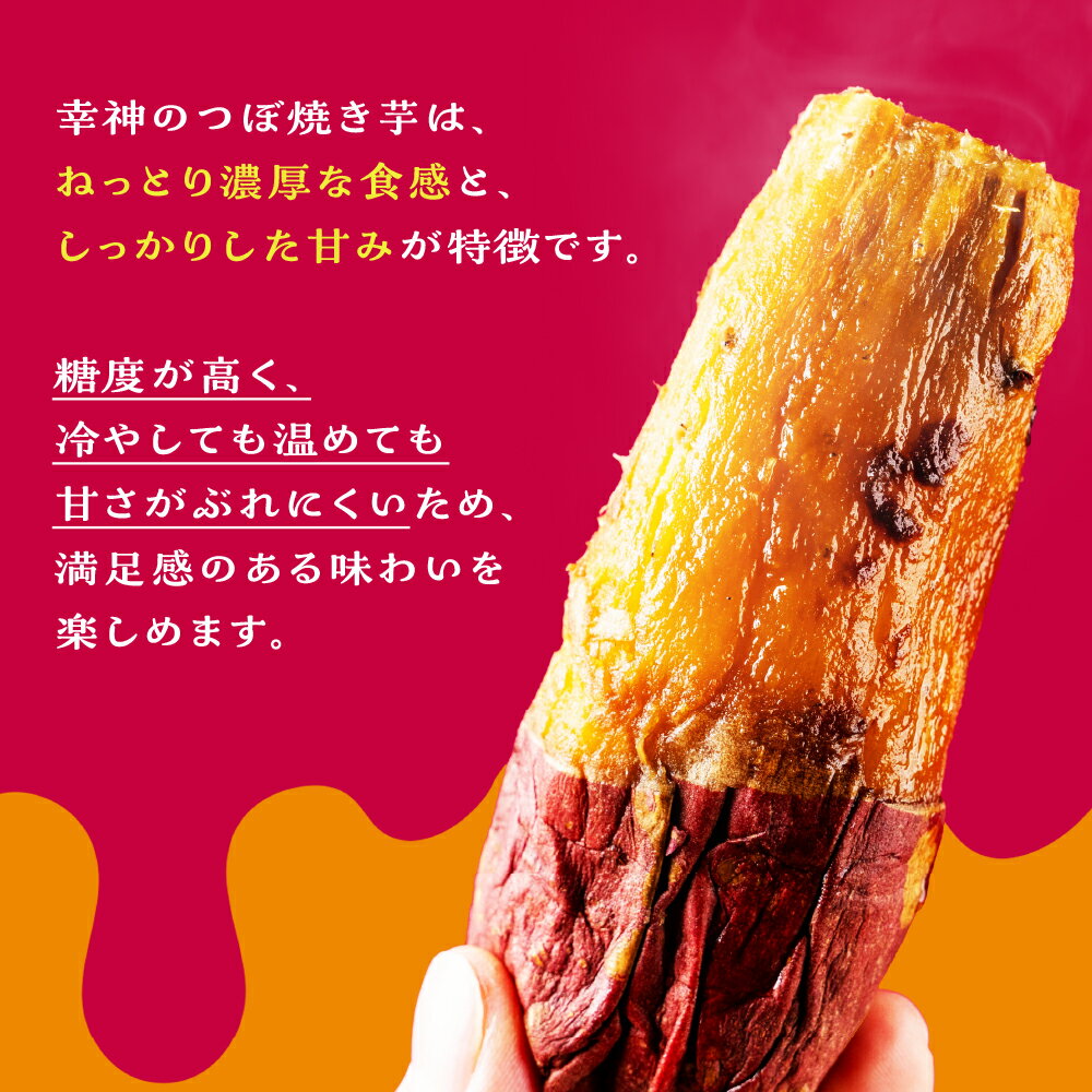 【ふるさと納税】焼きいも ペースト 1kg 1キロ 10000円 1万円 500g × 2パック 個包装 お菓子作り 高級焼いも 冷凍 冷やし焼いも 壺焼き 壷焼き 芋 焼き芋 焼芋 焼いも さつまいも サツマイモ 薩摩芋 スイーツ 紅はるか 安納芋 など つぼ焼いも岐阜総本舗 幸神 岐阜県 大垣市 - 画像2