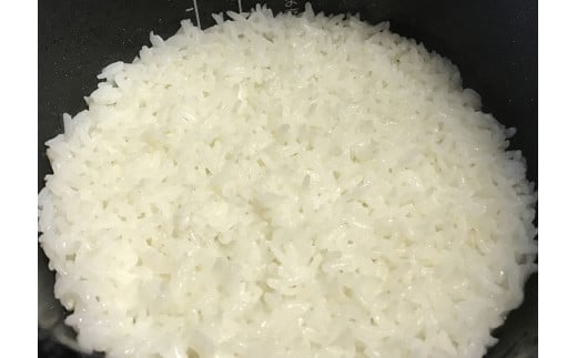 【ふるさと納税】令和7年産 ハツシモ 10kg はつしも 食味ランキング 「特A」 受賞歴 東の ササニシキ 西の ハツシモ 初霜 コシヒカリ の先輩 美濃 西濃 kome 人気 大粒 ごはん ご飯 米 白米 弁当 精米 お米 産地直送 産直 25000円 2万5千円 ふるさと物語 岐阜県 大垣市 - 画像2