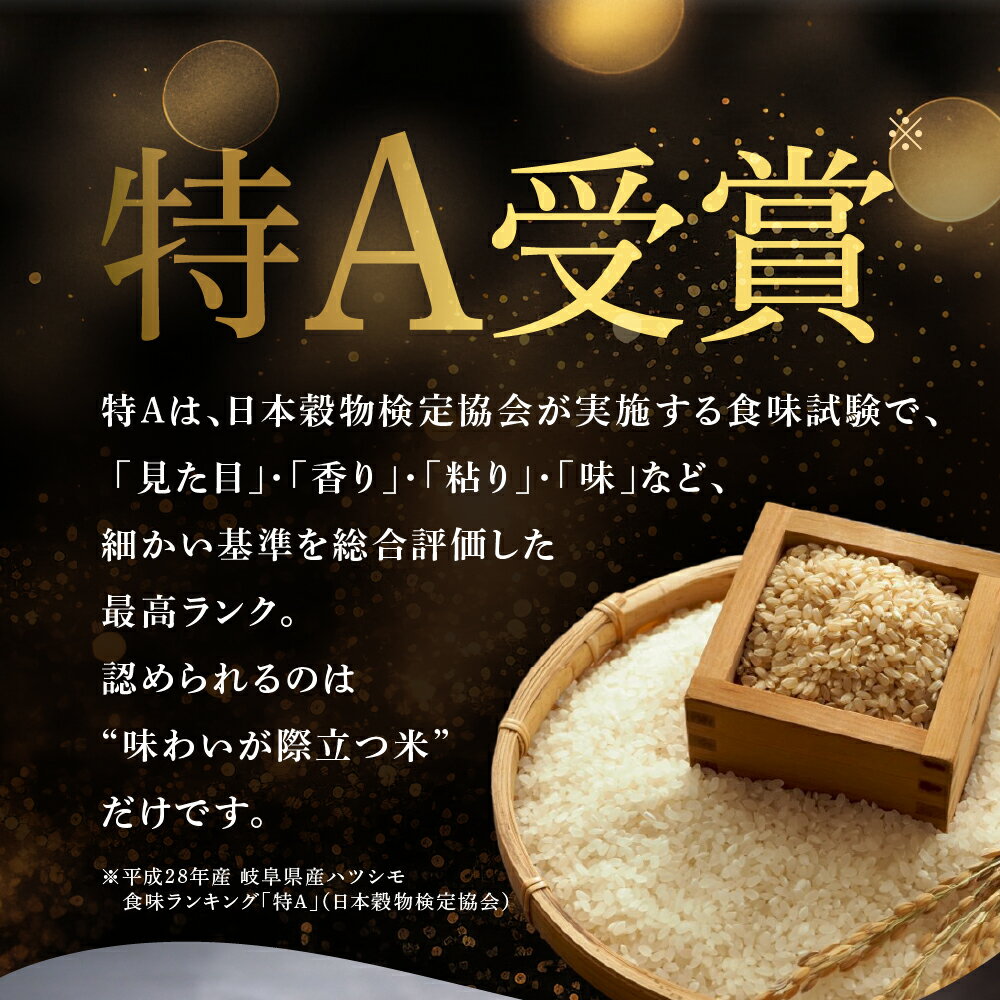 【ふるさと納税】≪令和7年度産≫ お米 ハツシモ はつしも 5kg 10kg 定期便 3回 3ヶ月 15kg 30kg 選べる サイズ 回数 特A 美味しい おいしい kome お米 ごはん 大粒 白米 精米 人気 美濃 初霜 コシヒカリ の先輩 東の ササニシキ 西の ハツシモ 幻の米 DIB 岐阜県 大垣市 - 画像2