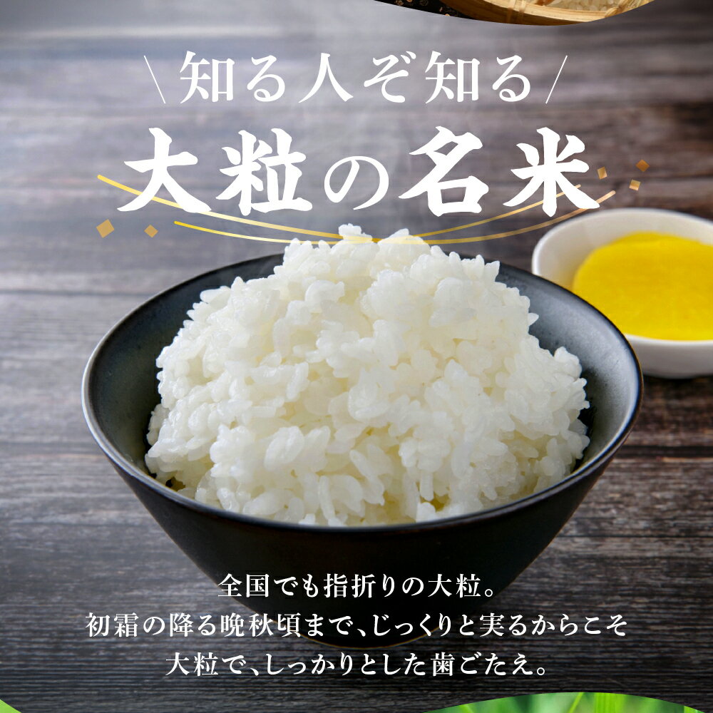 【ふるさと納税】≪令和7年度産≫ お米 ハツシモ はつしも 5kg 10kg 定期便 3回 3ヶ月 15kg 30kg 選べる サイズ 回数 特A 美味しい おいしい kome お米 ごはん 大粒 白米 精米 人気 美濃 初霜 コシヒカリ の先輩 東の ササニシキ 西の ハツシモ 幻の米 DIB 岐阜県 大垣市 - 画像3
