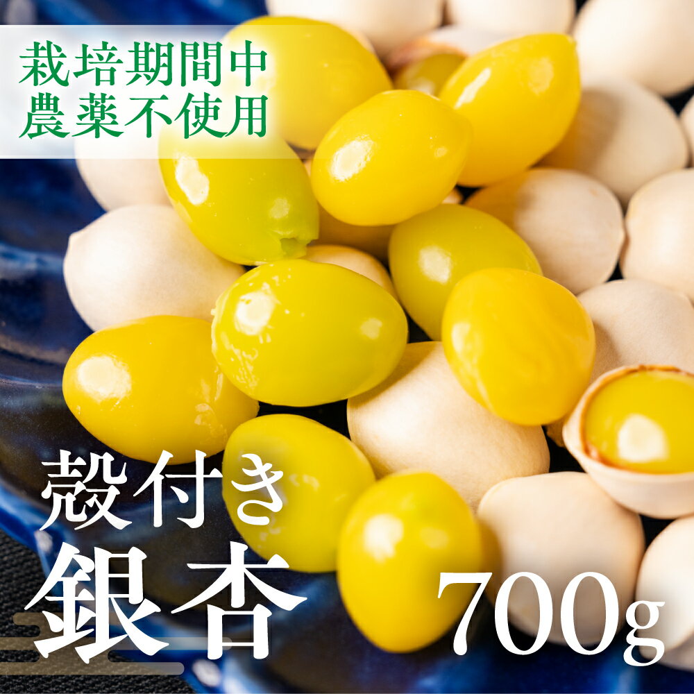 銀杏 700g ぎんなん イチョウ いちょう 殻付き銀杏 殻付き 国産 おつまみ 秋の味覚 栽培期間中農薬不使用 保管 常温 保存 もっちり 電子レンジ レンジ レンチン 簡単調理 茶碗蒸し ポスト投函 ネコポス 季節限定 産地直送 産直 7000円 7千円 岐阜県 大垣市