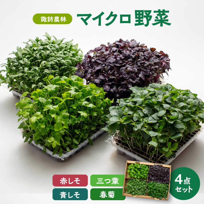 マイクロ野菜 4点セット〈 赤しそ 青しそ 三つ葉 春菊 〉【諏訪農林】 [TDO002]