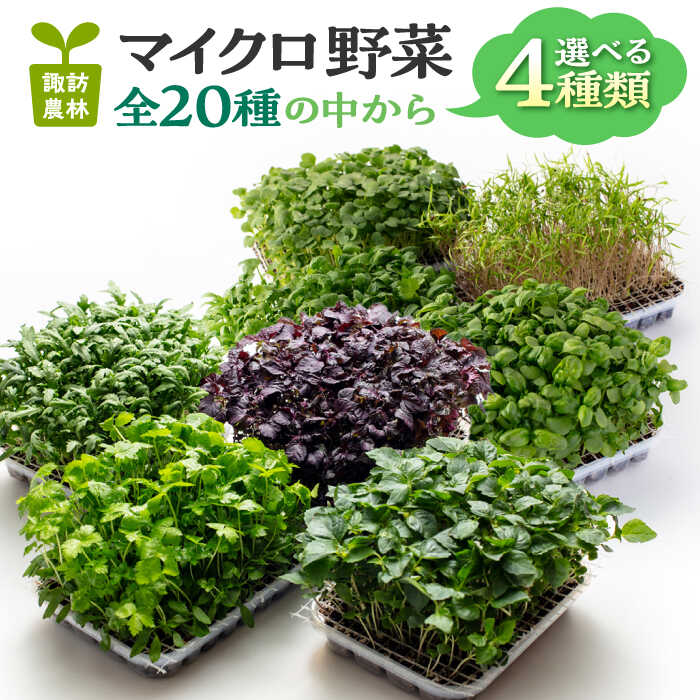マイクロ野菜 品種が選べる 4点セット 多治見市 / 諏訪農林[TDO005]