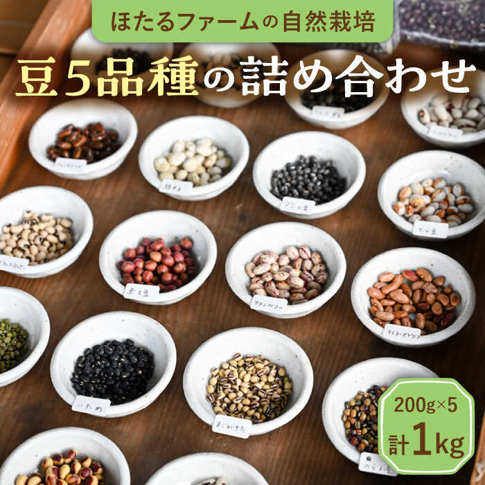 ※数量限定※【先行予約】自然栽培の豆 5品種 約1kg 農家直送 豆 詰め合わせ 多治見市 / ほたるファーム [TEB004]