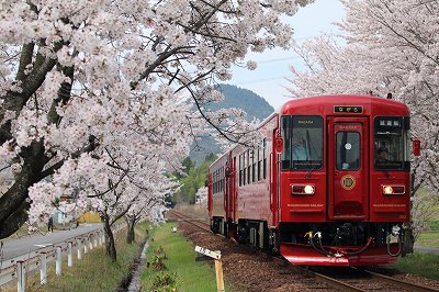 【ふるさと納税】 観光列車「ながら」ランチプラン予約乗車券（ペア）T84-01 関市 サムネイル2
