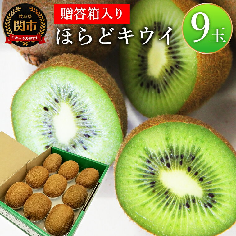関市名産とれったひろば ほらどキウイフルーツ9玉「贈答箱入」【12月〜2月頃に順次発送】【申込期間：6月〜1月末日】