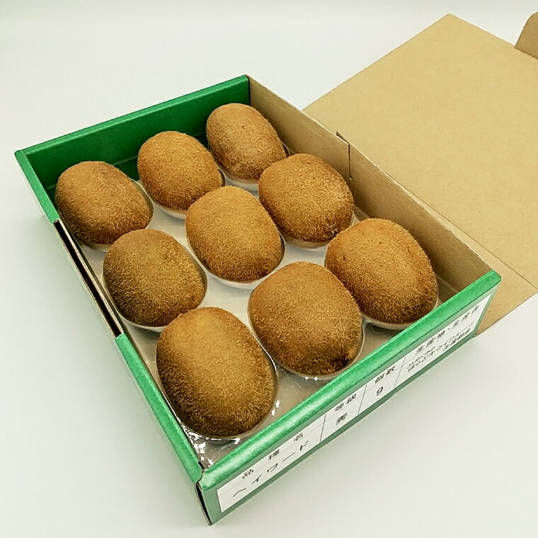 【ふるさと納税】関市名産とれったひろば ほらどキウイフルーツ9玉「贈答箱入」【12月〜2月頃に順次発送】【申込期間：6月〜1月末日】 サムネイル3